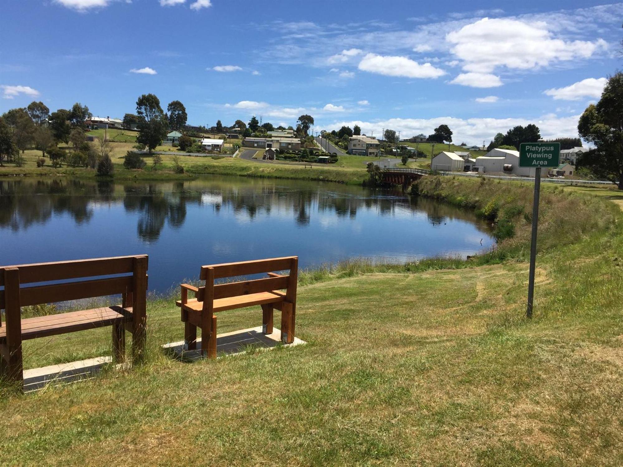 Waratah Waterfall Retreat Unit 1 Free Pay Tv In Two Rooms Free Wifi Exterior foto